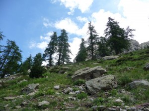 P1070686 